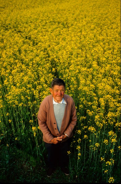 Vida rural en Cataluña